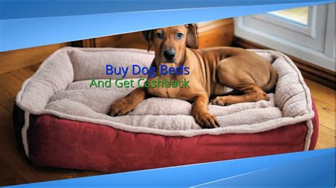 Buy Dog Beds And Get Cashback Youtube