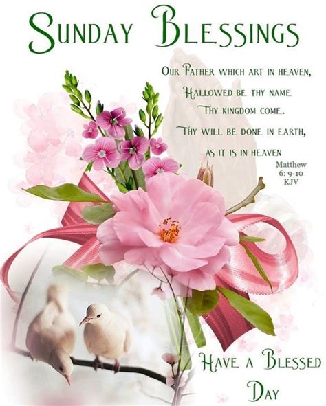 Dove And Pink Flower Sunday Blessings Quote Pictures Photos And Images