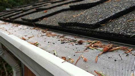 Leaf Guard Installation All Pro Roof Restoration