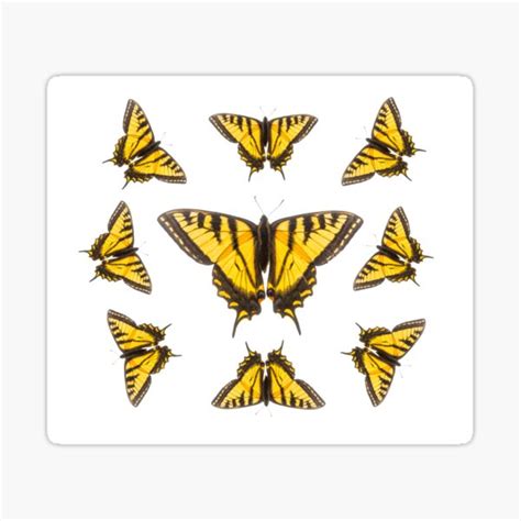 Swallowtails Sticker For Sale By ArtStef Redbubble