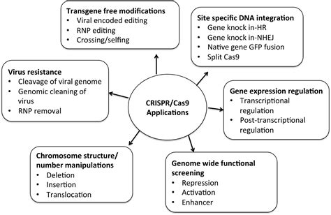 Frontiers Gene Editing And Crop Improvement Using Crispr Cas System
