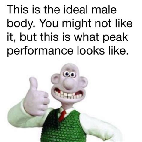 this is the ideal male body wallace and gromit wensleydale know your meme