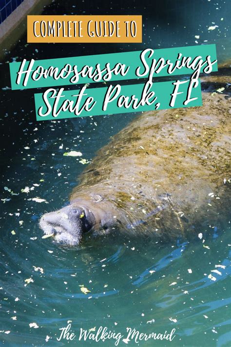 Homosassa Springs State Park In Florida Is The Perfect Spot To Visit