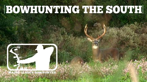 Bow Hunting The South Big Arkansas Bucks Major League Bowhunter