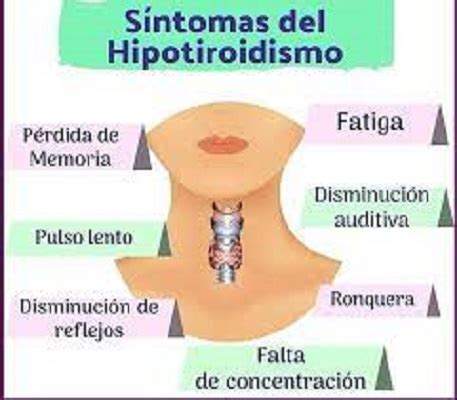 El hipotiroidismo qué es y cuáles son sus síntomas
