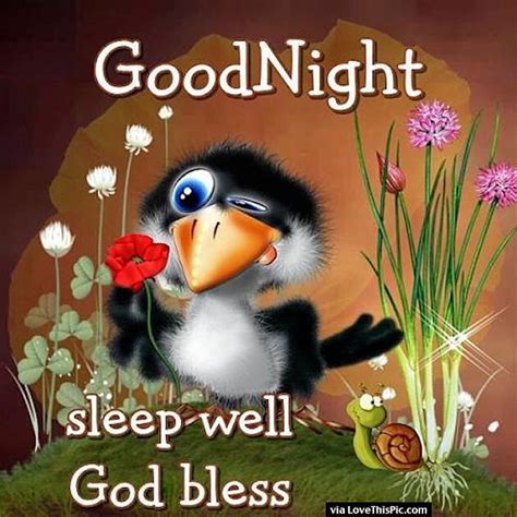 goodnight sleep well god bless good night everyone cute good night good night friends good