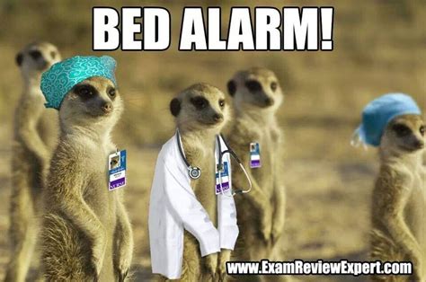 Uh Oh Bed Alarm Nurse Humor Nursing Memes Medical Humor