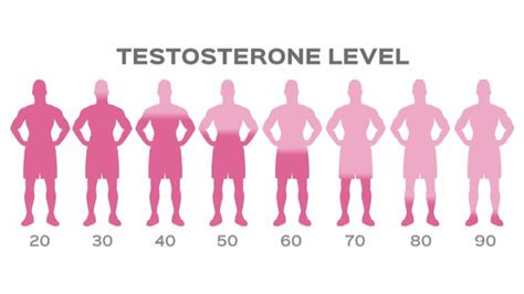 Free Testosterone Test The Difference Between Free And Total T Levels