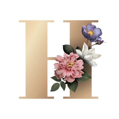 Floral Letter V Font Free Transparent Png 583142