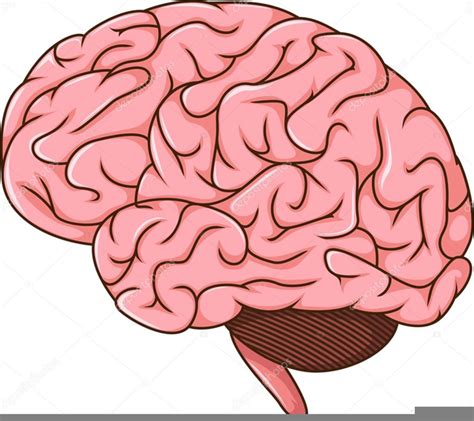 Brain Animated Clipart Free Images At Vector