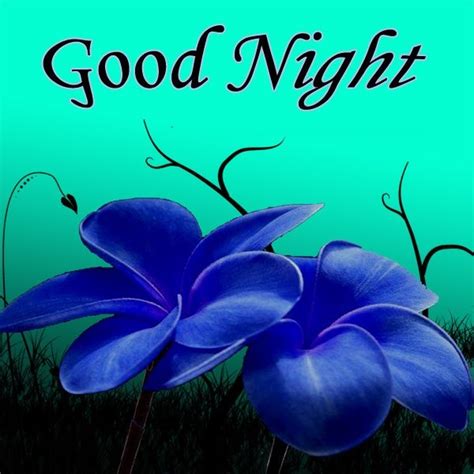 Good Night Flowers Images Pictures And Wallpapers Gud