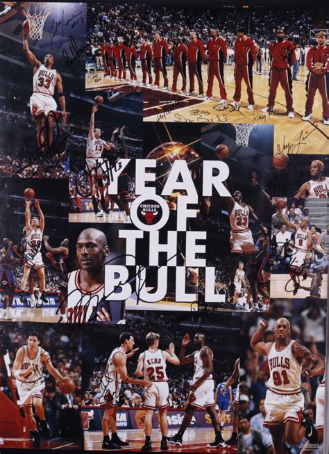 Bulls 1996 Nba Champions Year Of The Bull 25x37 Custom Framed Poster