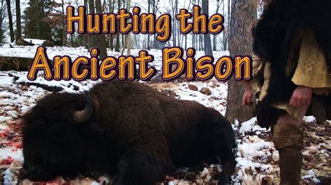 Short Version Primitive Hunting Bison Buffalo With The Atlatl