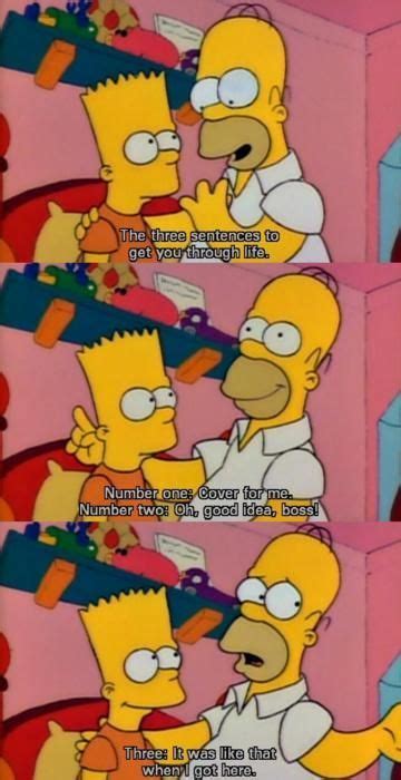Homer Wisdom Homer Simpson Simpsons Quotes Simpson
