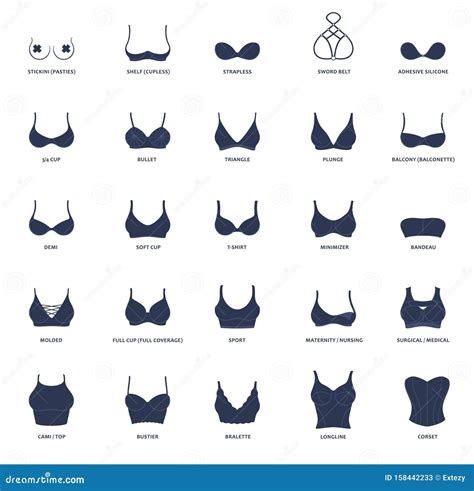 Collection Of Lingerie Panty And Bra Set Vector Illustration 113680378