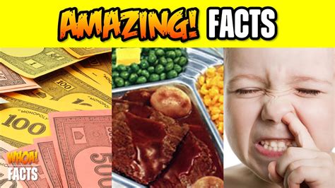 Did You Know Amazing Random And Interesting Facts 27 Youtube