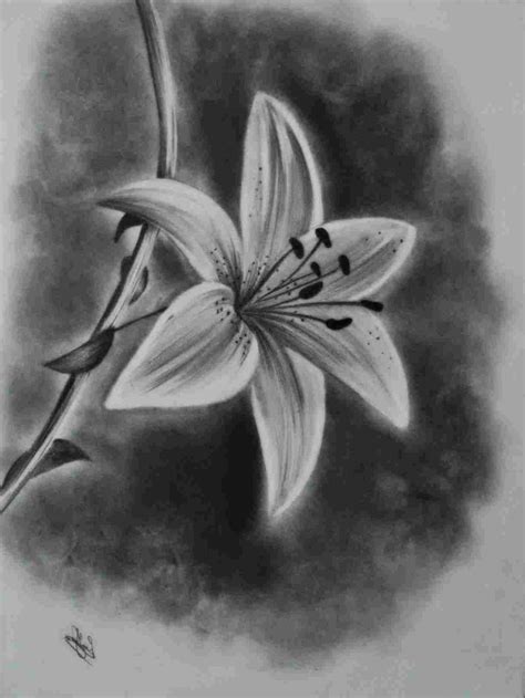 Charcoal Drawing For Beginners At PaintingValley Com Explore Collection Of Charcoal Drawing