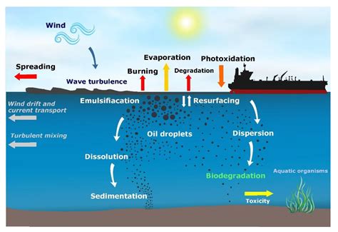 Bp Oil Spill Diagram