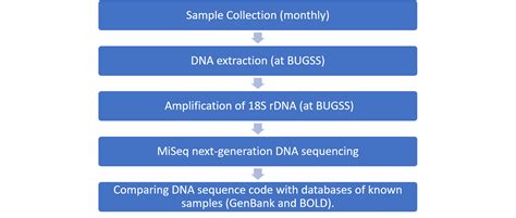 barcoding the inner harbor dna analysis baltimore underground science space