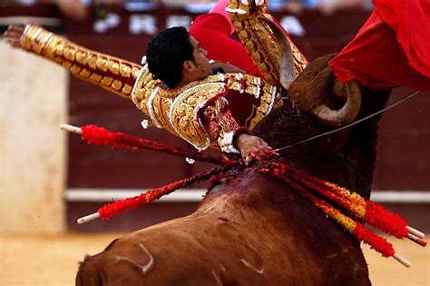 The Rasch Outdoor Chronicles The Science And Biology Of Bullfighting
