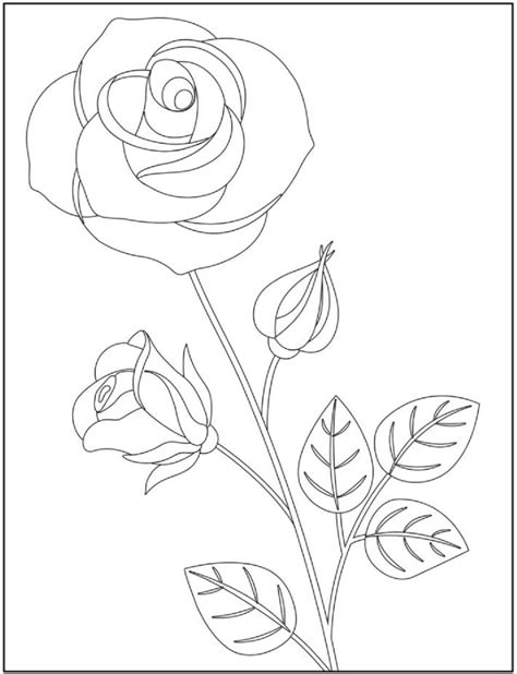 Beautiful Rose Branch Coloring Page Download Print Or Color Online