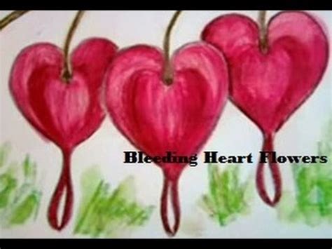 Heart drawing drawing tutorial drawing tutorial easy easy drawings drawing tutorials for beginners drawings how to draw hands sketch book happy drawing. How To Draw A Bleeding Heart Flower and color them colour ...