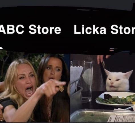Funny Woman Yelling Cat Meme 2019 Rubrik Pilihan