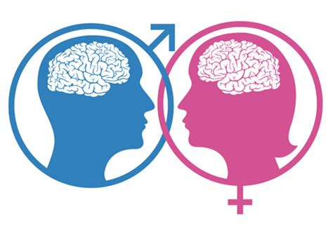 Viewpoint We Cant Ignore Scientific Evidence About Male Female Brain