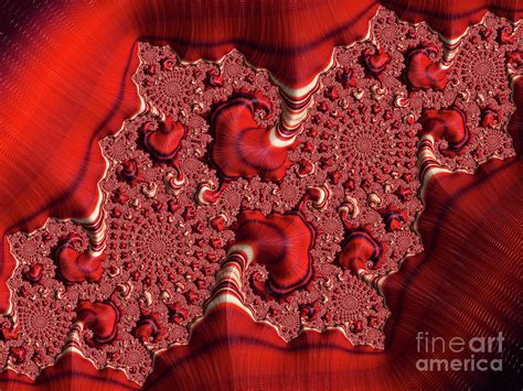 Red Sensation Digital Art By Elisabeth Lucas Fine Art America