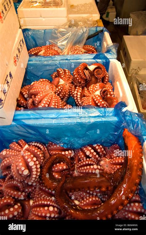 Octopus At Tsukiji Shijo Fish Seafood Market In Tokyo Japan Stock Photo