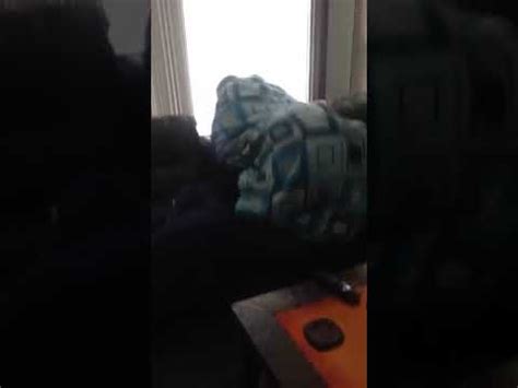 Humping A Pillow On A Sunday Got Caught YouTube