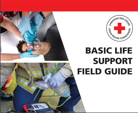 Basic Life Support Bls Training Canadian Red Cross Partner