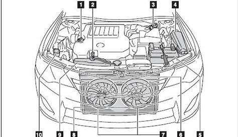 Toyota Camry: Engine compartment - Do-it-yourself maintenance