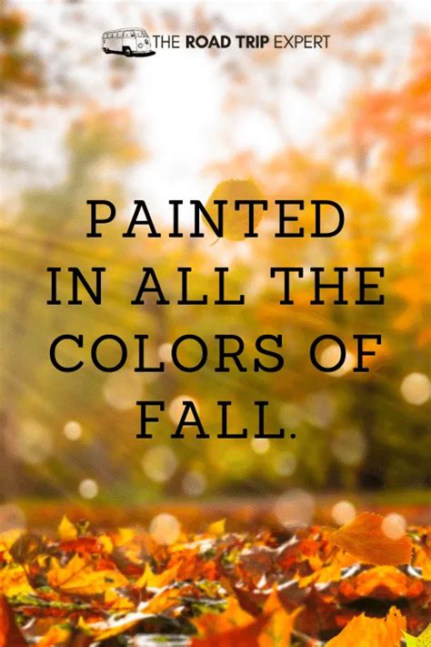 100 Beautiful Fall Instagram Captions And Quotes For Insta