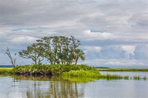 Georgia Salt Marsh Stock Photos Pictures And Royalty Free Images Istock