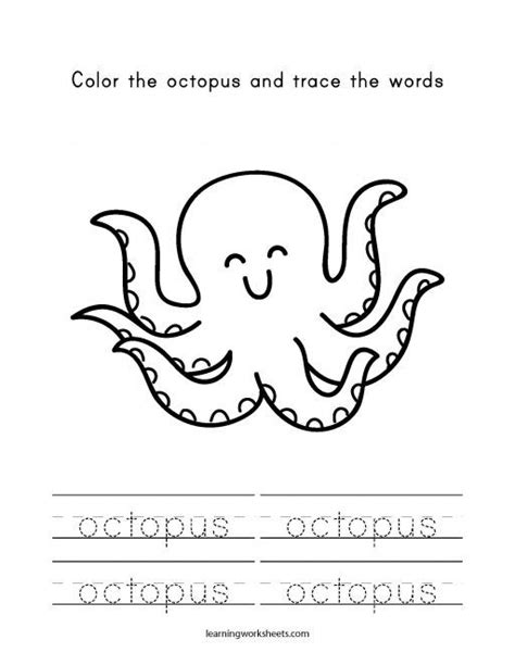 Octopus Worksheet For Kindergarten