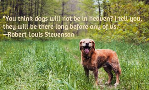 Dog Death Quotes Quotesgram