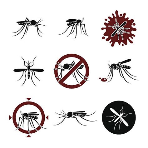 Mosquito Clip Art Vector Images And Illustrations Istock