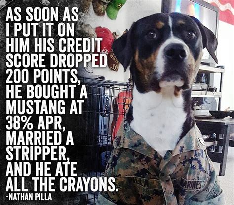 Pin By Whitney Wheaton On K 9 Veterans Day Marines Funny Military