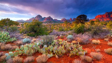 The Best Places To Visit And Things To Do In Sedona