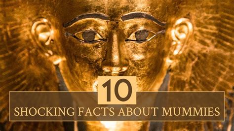 50 interesting facts about mummies shocking facts facts history facts