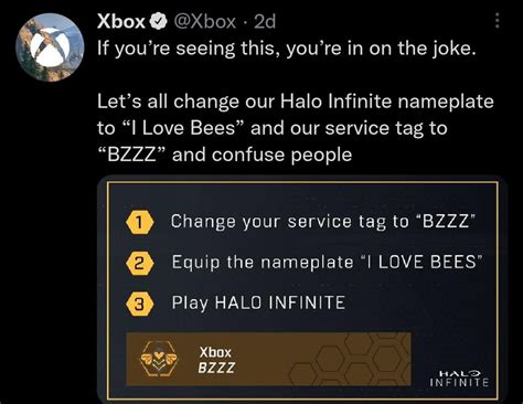 You Heard Them Team Bees Halo