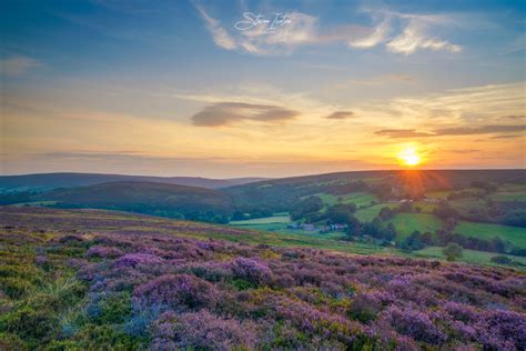 Heather Bloom 2020 North York Moors Northern Landscapes By Steven Iceton