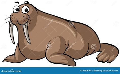 Walrus With Happy Face Stock Vector Illustration Of Nature 95826166