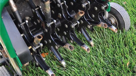 Verticutting Or Core Aerating The Lawn Grass Pad