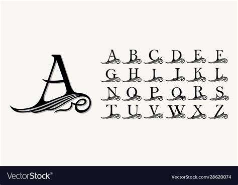 Vintage Set Calligraphic Capital Letters Vector Image