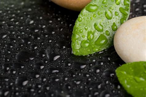 Zen Stones On Black With Water Drops Stock Image Image Of Balancing