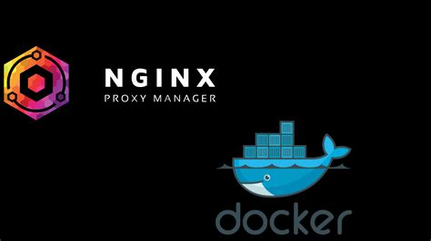 Nginx Proxy Manager Docker Techexperiencemx
