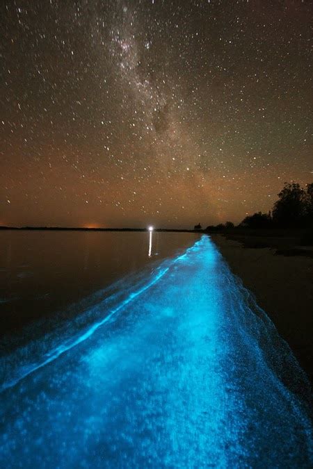 Glowing Beach In Japan