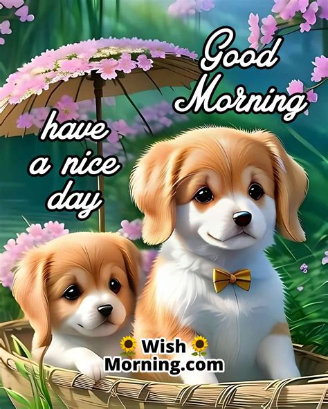 Good Morning Dog Images Wish Morning